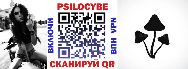 OMG   Новокузнецк  Псилоцибиновые грибы мицелий 