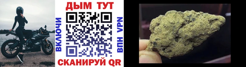 где найти Новокузнецк Шишки марихуана Ganja